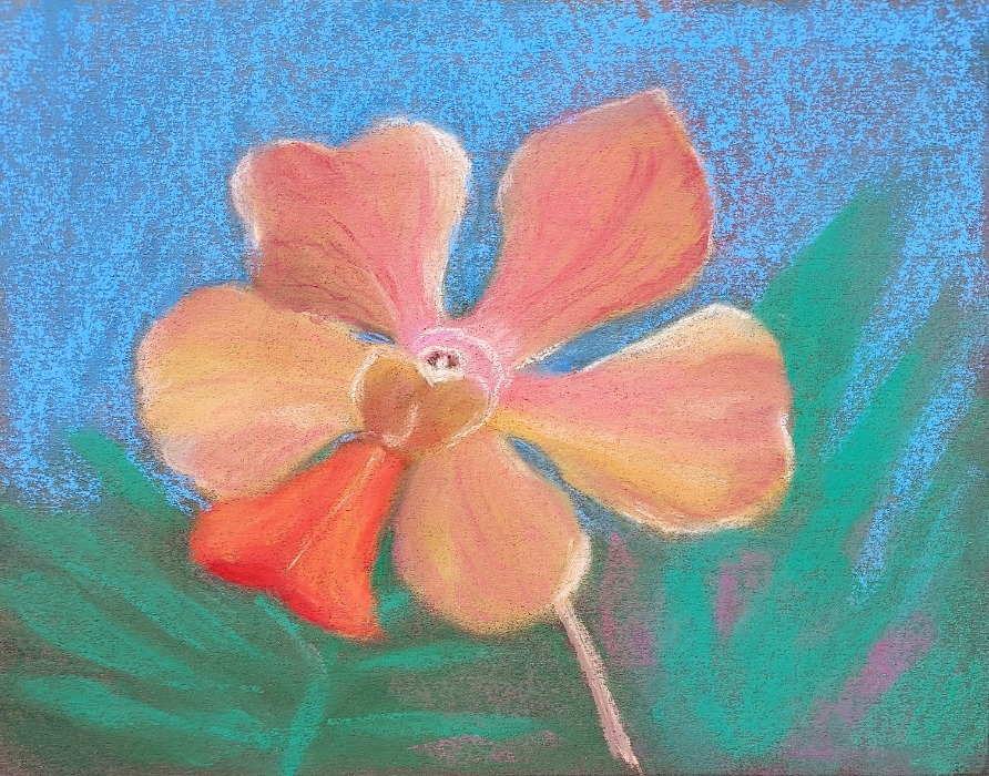 Next Picture